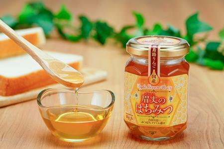 【国産蜂蜜】 はちみつ 175g × 1本 天然はちみつ りんご 蜜 蜂蜜