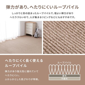 ループパイルでへたりにくい、高機能カーペット ステラ 江戸間6帖 1枚 600094