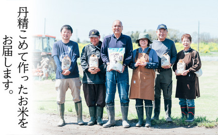 茨城県産にじのきらめき（5kg）【お米 米 白米 ご飯 米 にじのきらめき 米 茨城県産 米】