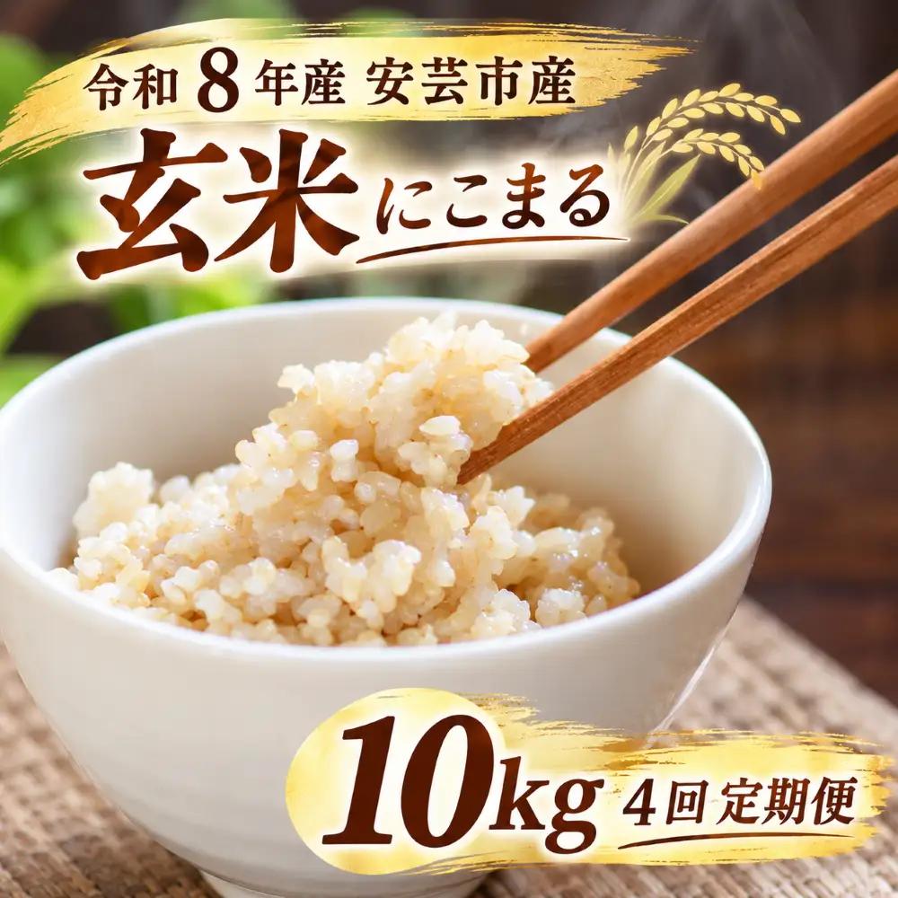 先行受付 令和8年産 にこまる玄米 40kg 10kg×4回 定期便 【にこまる】