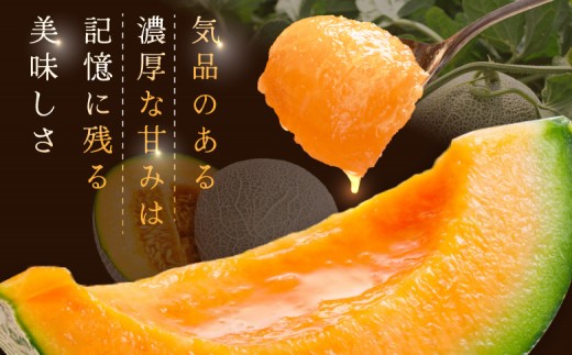《2026年分受付中》大玉！とろける食感の北海道三笠メロン2玉入(3.2kg以上)