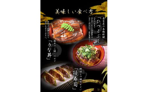 うなぎ蒲焼 4尾 計約960g （タレ・山椒付き） 1尾で約240gのビッグサイズ 【通常発送】【nks702B-y】