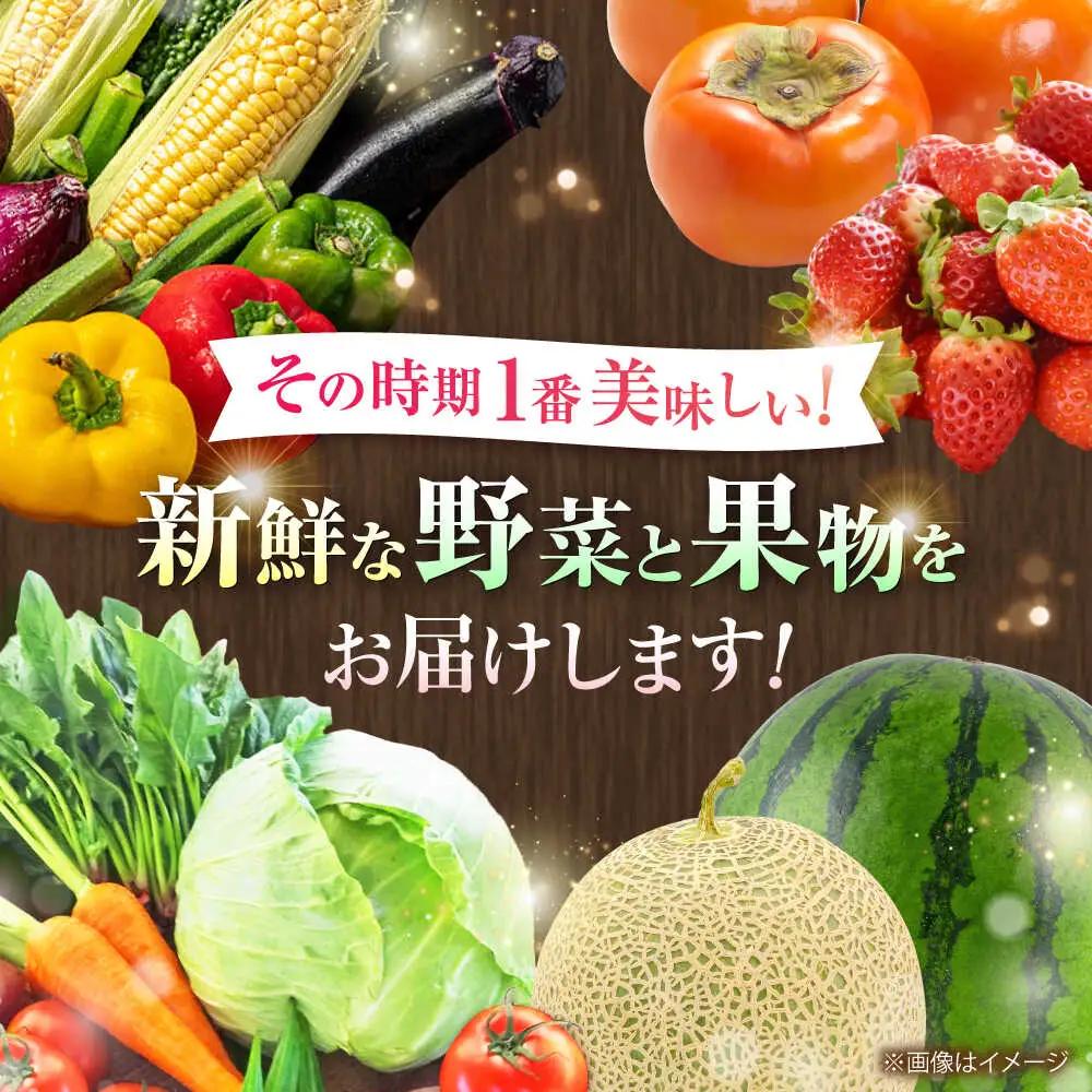 全6回定期便 菊陽町特産品 「 野菜 ・ 果物 などの詰め合わせ」 野菜 果物 BHAK008