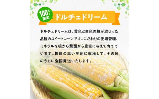 【令和7年発送】宮崎県産とうもろこし　黒木さんのスイートコーン「ドルチェドリーム」4.5kg【 数量限定 季節限定 産地直送 とうもろこし コーン とうきび 野菜 】 [D10901]