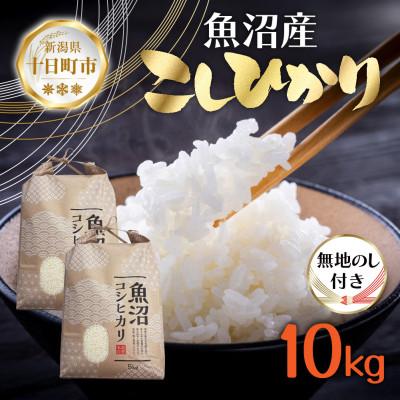 ふるさと納税 十日町市 無地のし【令和7年産 新米予約】魚沼産 コシヒカリ 10kg 精米 新潟県 十日町 仁田地区限定