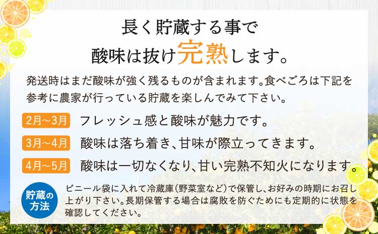 先行予約 熊本大見柑 (不知火) 訳あり 9.5kg (25～50玉) 【2027年2月上旬～2月下旬頃発送予定】 しらぬい みかん 蜜柑 柑橘 国産 九州 熊本 宇城市産 【株式会社la Nui.】