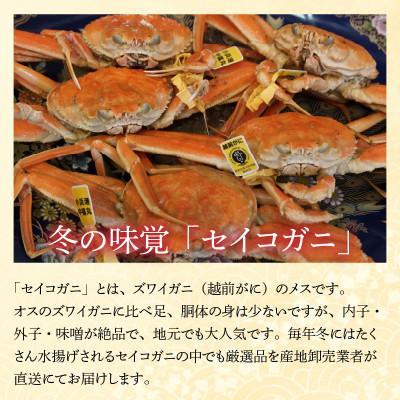 ふるさと納税 小浜市 【先行予約】産地直送/セイコガニ(コッペガニ)ボイル15杯　若狭小浜港・セイコガニ【加福鮮魚】 |  | 01