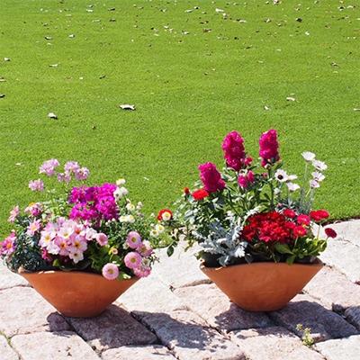 ふるさと納税 朝倉市 可愛いピンクのお花たっぷりの寄せ植え(舟形Mサイズ)×2鉢