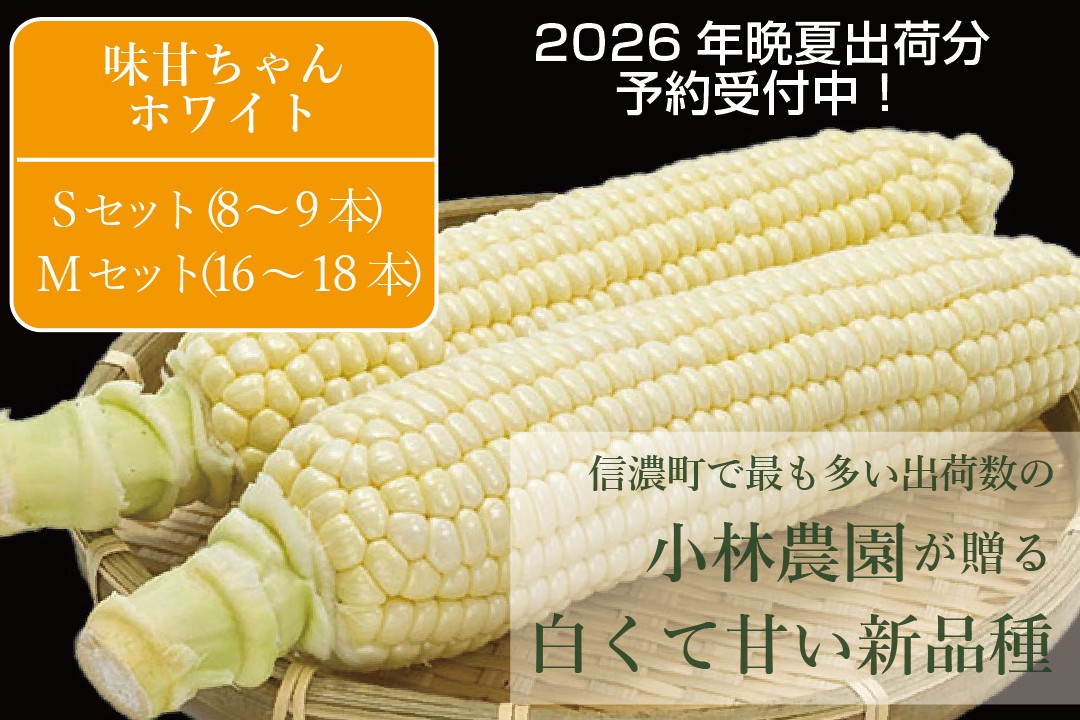 
            2026年夏の予約受付開始！小林農園の白くて甘いとうもろこし『味甘ちゃんホワイト（みかんちゃんほわいと）』8～9本/ 16～18本 令和8年9月上旬～10月下旬出荷【長野県信濃町】
          