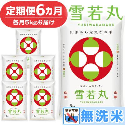 ふるさと納税 鶴岡市 【毎月定期便】山形県産 雪若丸 無洗米 5kg全6回