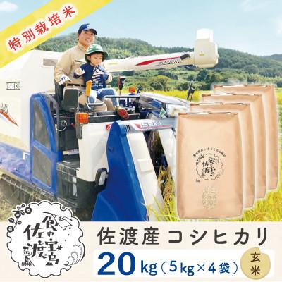 ふるさと納税 佐渡市 佐渡島産コシヒカリ 玄米20Kg(5Kg×4袋) 令和7年産 特別栽培米 農家直送
