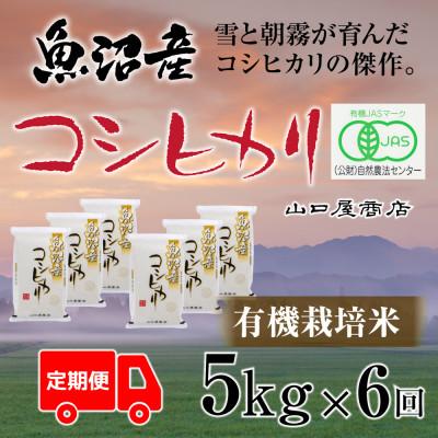 ふるさと納税 十日町市 【毎月定期便】【厳選☆川西地区育ち】　“有機栽培米”　魚沼産コシヒカリ　5kg　全6回