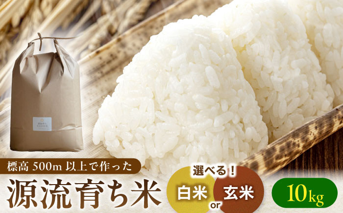 
                  R7年度産 お米 【白米or玄米選べる】お山のお米 10kg 国産 米 岐阜 白川町 岐阜県産 精米 玄米 ごはん ご飯 お米 おこめ こめ 数量 限定 ギフト ふるさと納税 白米 / Sunpo [AWBC008]
                