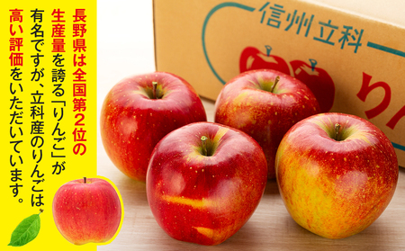 シナノスイート(約5㎏、優14～18玉)　