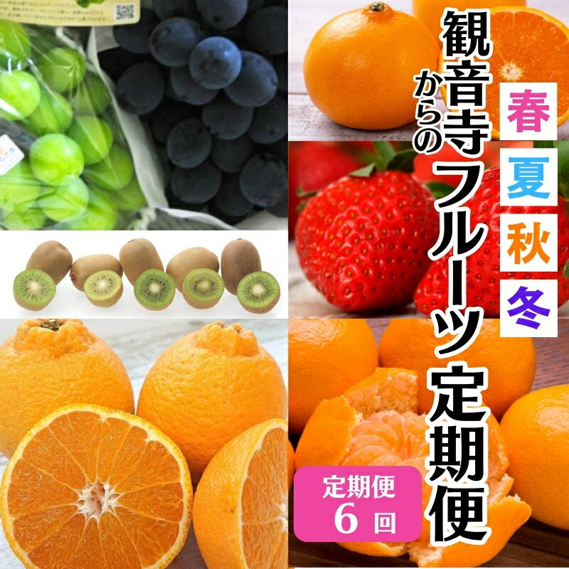 【ふるさと納税】フルーツ 定期便 年 6回 香川県産 国産 さぬきひめ 讃岐 せとか しらぬひ 不知火 いちご 苺 シャインマスカット ピオーネ ぶどう さぬきキウイっこ キウイ キウイフルーツ 石地みかん みかん 柑橘 定期 フルーツ定期便 冷蔵配送 常温配送 香川県 観音寺市