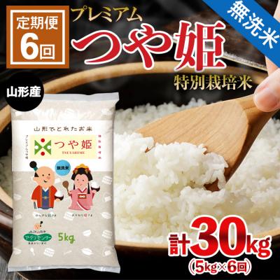 ふるさと納税 山形市 【定期便6回】[無洗米]プレミアムつや姫(特別栽培米) 5kg×6ヶ月 FZ22-911 | 