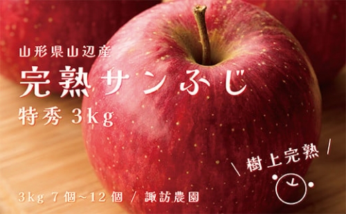 《先行予約》2024年 山形県産 完熟 サンふじ りんご 特秀品 3kg 7～12個 2024年12月上旬から順次発送 リンゴ フルーツ F20A-902