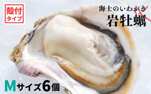 
【のし付き いわがき 殻付きMサイズ 6個】 岩牡蠣 生食可 冷凍 牡蛎 牡蠣 かき カキ 岩牡蠣 いわがき 冷凍 父の日 母の日 バーベキュー ギフト
