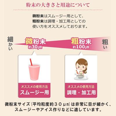 ふるさと納税 あさぎり町 ビーツ粉末(微粉末) 100g×1袋　約30μm(約30マイクロメートル※細かい粉末) |  | 02