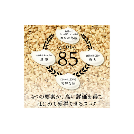 ≪先行予約≫富山県ブランド米 富富富 10kg 無洗米 陽咲玲 富山県 立山町 F6T-835_イメージ4