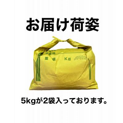 ふるさと納税 大網白里市 【令和7年産】千葉県産 ふさこがね10kg (精米5kg×2袋) |  | 03
