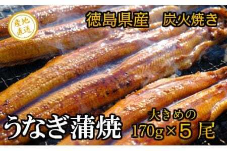 徳島県産　うなぎ蒲焼　こだわりの炭火焼　大きめ5尾（170ｇ×5尾）