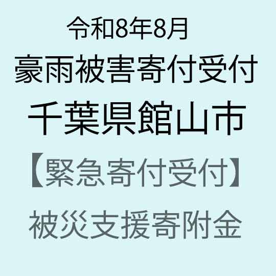 【ふるさと納税】【令和8年8月千葉県豪雨被害災害支援緊急寄附受付】千葉県館山市災害応援寄附金（返礼品はありません）