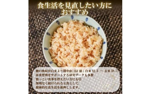 定期便 3回 こしひかり 玄米ごはんパック 120g 24個 玄米 米 お米 ごはん ご飯 こめ パックライス パックご飯 パックごはん ご飯パック ごはんパック パック ライス 備蓄 保存 非常 防