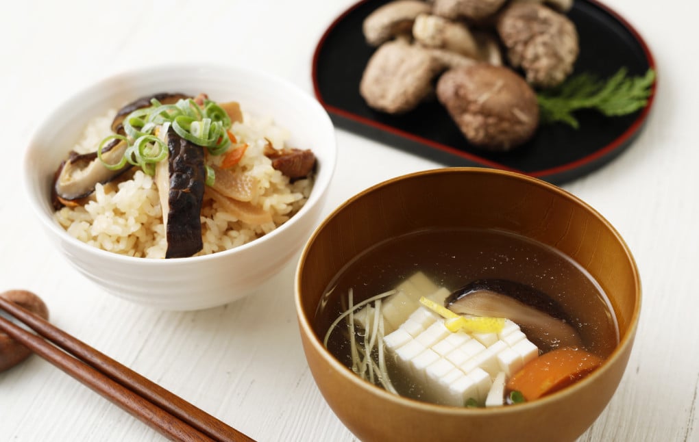 015-692x1 大分県産 椎茸 進物 どんこ 120g 乾燥椎茸 きのこ 茸