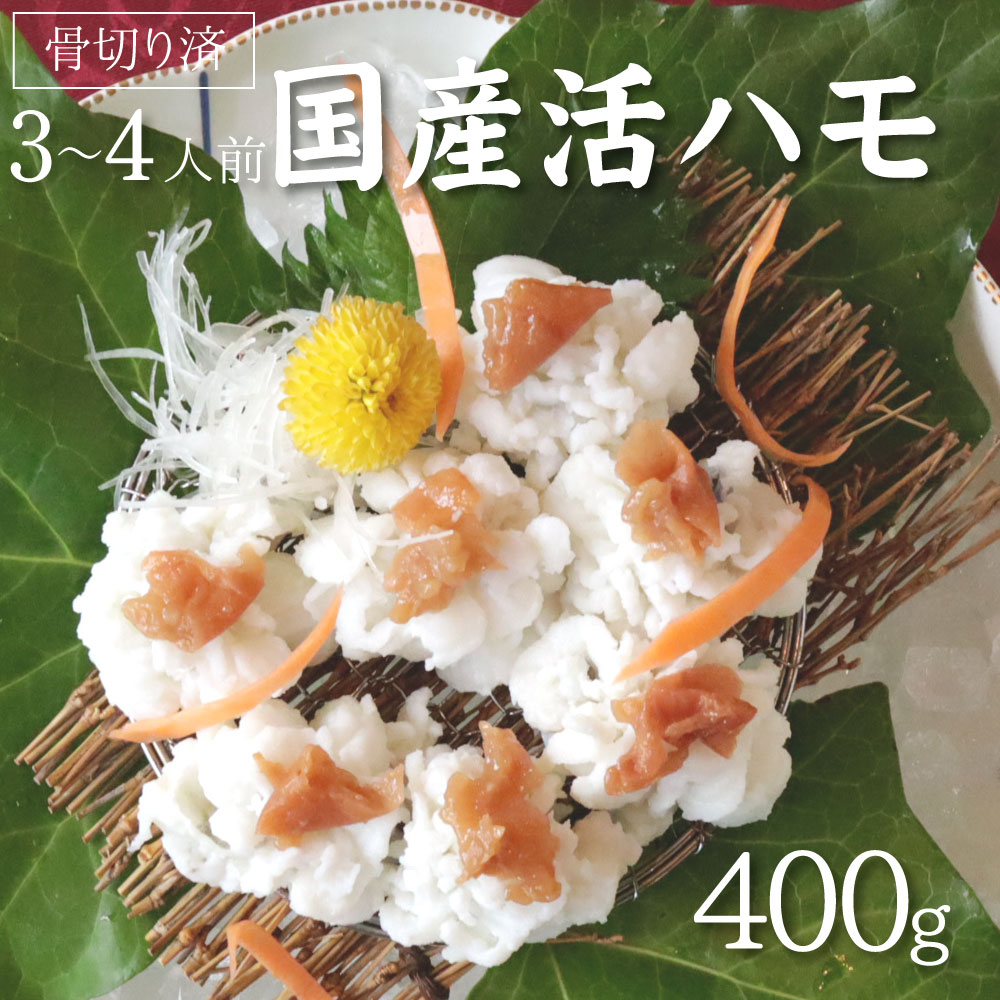 【ふるさと納税】国産 活はも (骨切り済) 400g ( 3人前 ～ 4人前 )【天然 はも ハモ 鱧 鮮魚 皮付き 湯引き はもしゃぶ】