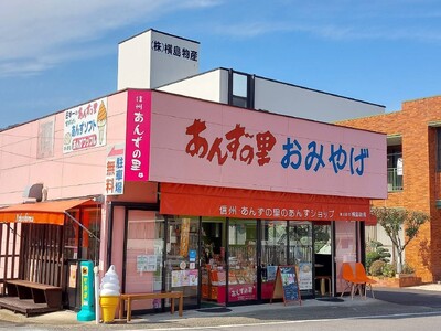昔ながらの天日干しあんず(3袋セット) ｜ あんず