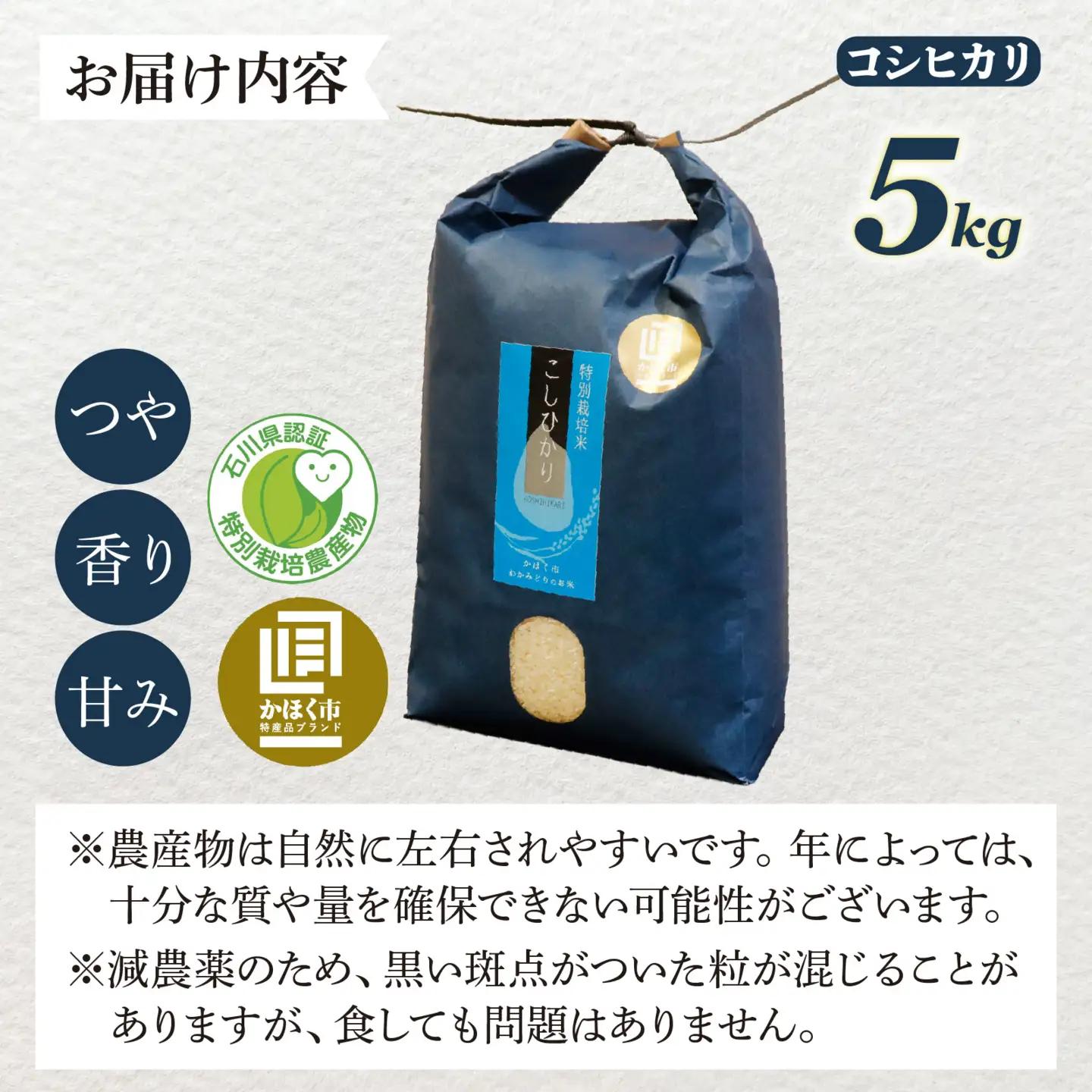 【令和8年産】こしひかり 5kg 【2027年3月発送】/ コシヒカリ お米