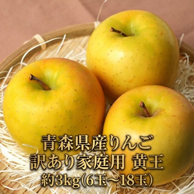 8月下旬から発送! 青森りんご 黄王(きおう) 約3kg 訳あり 糖度12度以上!【配送不可地域：離島・沖縄県】