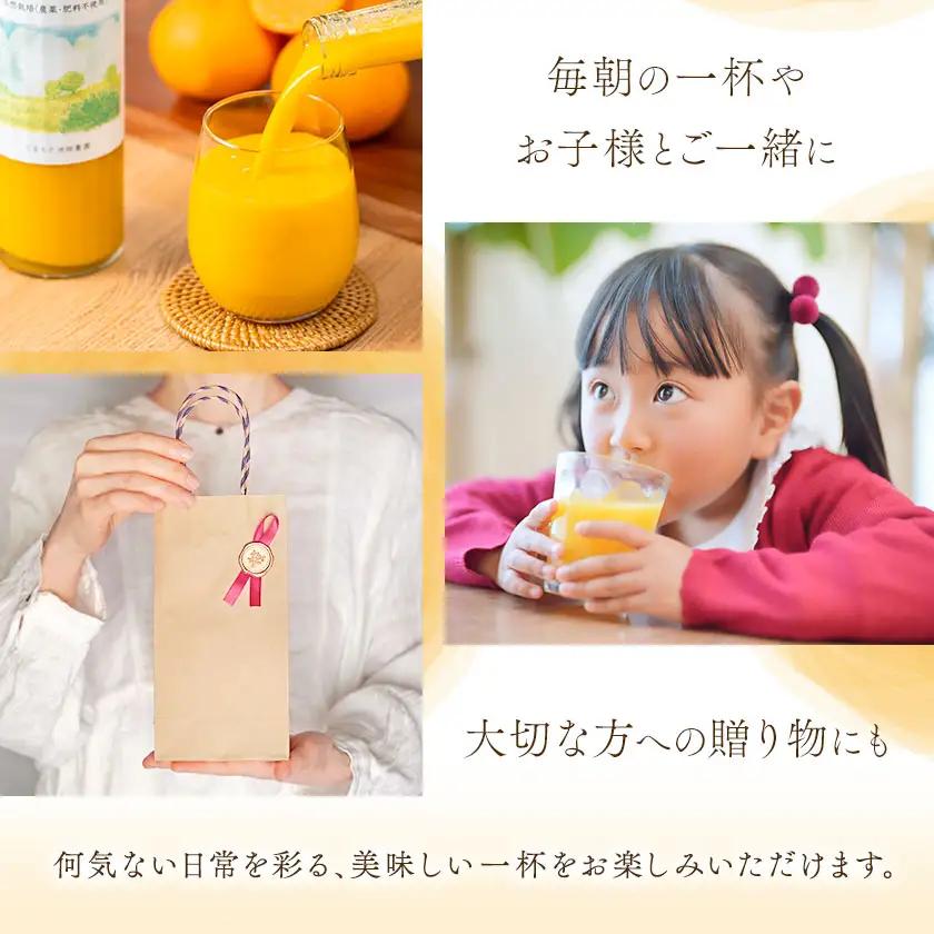 池田農園のみかんジュース 3本 1本500ml 池田農園《30日以内に出荷予定(土日祝除く)》熊本県 玉名郡 玉東町 みかんジュース みかん ミカン ジュース 自然栽培 栽培期間中農薬・肥料不使用