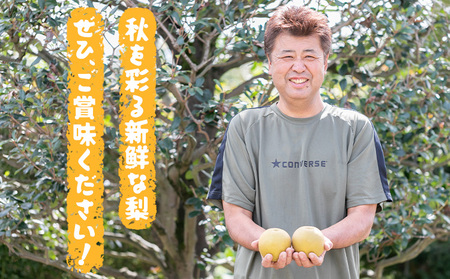 【2024年先行予約】石川梨・ぶどう園 梨 （あきづき） 約5kg 数量限定 ※9月上旬以降発送 ナシ 果物 フルーツ甘い 果汁 美しい 贈答用 人気 お届け：2024年9月上旬～9月中旬