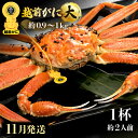 【ふるさと納税】≪浜茹で≫越前がに 大サイズ（生で約0.9〜1kg） × 1杯 約2人前 食べ応えあり！【雄 ズワイガニ 越前ガニ 姿 ボイル 冷蔵 かに カニ 蟹 福井県】【11月発送分】希望日指定可 備考欄に希望日をご記入ください [e49-x002_11]