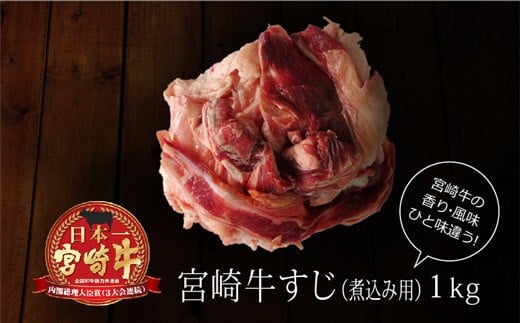 
＜宮崎牛＞牛すじ（煮込み用） 合計1kg（500g×2パック）【B227】
