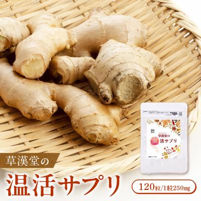 ふるさと納税 小牧市 草漢堂の温活サプリ [103S08]