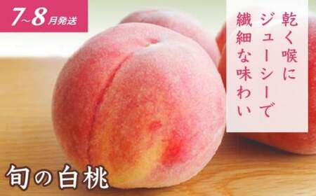 ［3回定期便］ 信州フルーツ3回コース ［小布施屋］ 定期便 先行予約 フルーツ 数量限定 白桃 シャインマスカット ぶどう りんご お楽しみ 3回お届け 長野県産 信州産 令和8年産 【2026年7