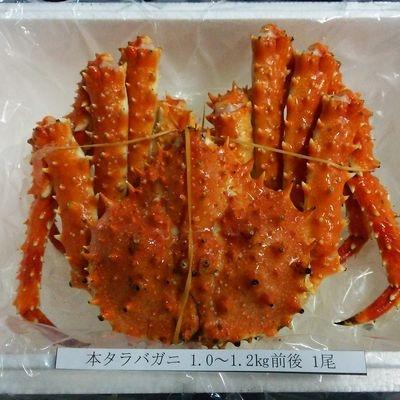 ふるさと納税 根室市 本タラバガニ1.0〜1.2kg前後×1尾 C-57013 |  | 01