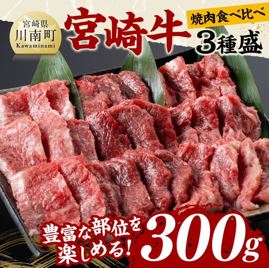宮崎牛 焼肉 食べ比べ 3種盛 300g　肉 牛肉 黒毛和牛[D11416]