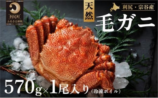 利尻・宗谷産 冷凍ボイル毛蟹 570g前後×1尾
