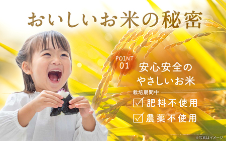 【先行予約】【全12回定期便】令和7年度新米4kg・放し飼いたまご20個セット ヒノヒカリれんげ米 元気たまご【浅田峠自然塾】[EA22]