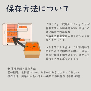 【12月上旬〜1月中旬発送】訳あり 愛果28号（紅まどんな と同品種） みかん約2kg | 紅マドンナ と同品種 まどんな マドンナ 柑橘 果物 フルーツ あいか 愛果28号 みかん 松山市 愛媛県【