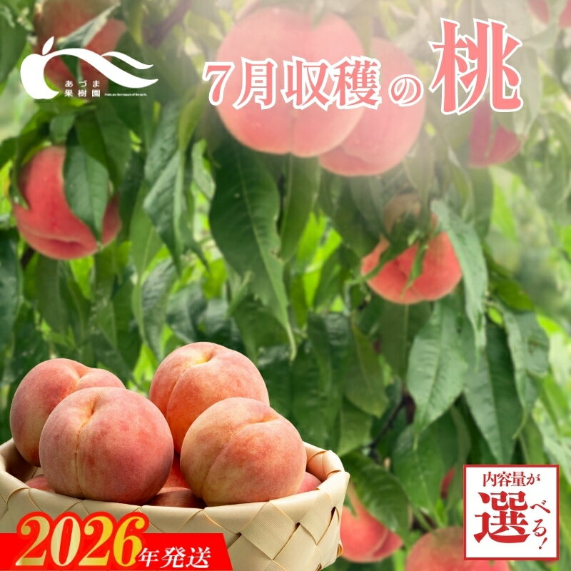 【ふるさと納税】あづま果樹園 もも 7月収穫の桃　選べる　容量　品種おまかせ 約1.2kg 約2kg 約3kg 約5kg 早生 はつひめ 恋みらい 日川白鳳 あかつき 夏の陽 一万円【2026年発送】