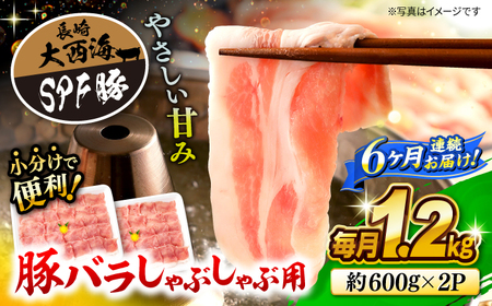 6回定期便 国産豚 SPF豚 バラ しゃぶしゃぶ 計1.2kg 訳あり CEK085 国産豚 豚肉 しゃぶしゃぶ 国産豚