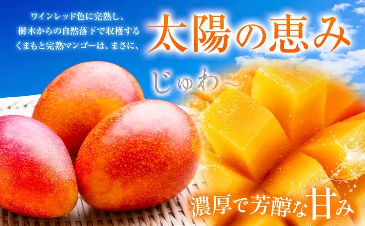 マンゴー 秀品 清田ファミリー農園 2玉
