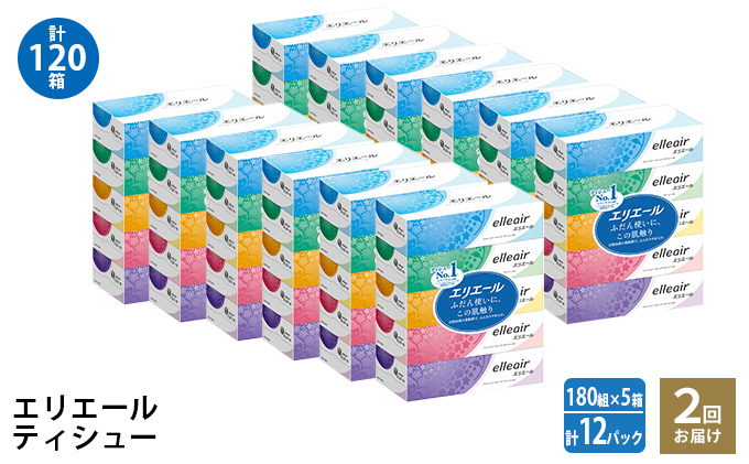 2回お届け 計120箱 エリエール ティシュー 180組5箱 12パック ティッシュペーパー 箱ティッシュ ボックスティッシュ 紙 まとめ買い 防災 常備品 備蓄品 消耗品 日用品 生活必需品 送料無料 赤平市 ストック 