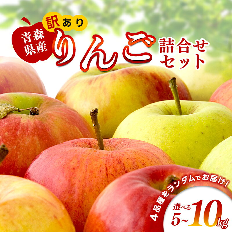 【ふるさと納税】【特に訳あり】 藤崎町産 りんご 約5kg or 約10kg【ふじさき季の会】容量が選べる 青森りんご リンゴ 林檎 アップル ふじ発祥の地 おすすめ 東北 青森県 藤崎町 F41-0128var