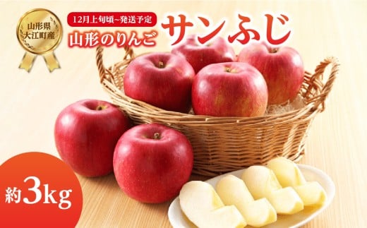 《先行受付》サンふじ約3kg 【2025年12月上旬頃～発送予定】【山形りんご・大江町産】 【001-104】